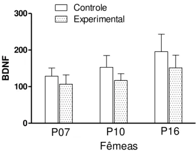 Figura 9. Medida da concentração de BDNF em homogenato de cérebro de filhotes fêmeas de mães controle e  obesas aos 07, 10 e 16 dias de vida pós-natal