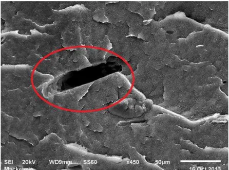 Figura 16: Micrografia do PEAD com 10% de pó de madeira (450x). 