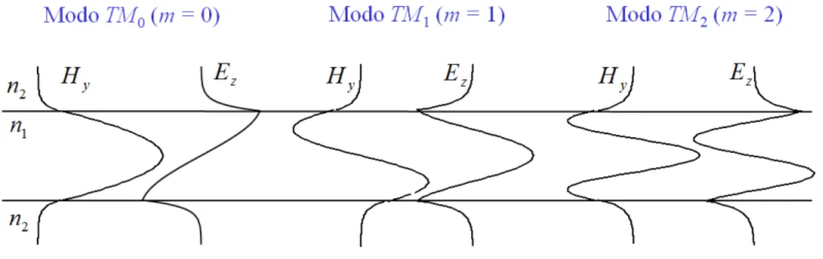 Figura 5 Componentes de campo para modos TM com diferentes índices m. 