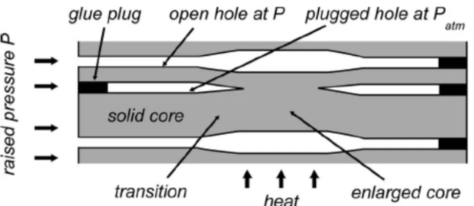 Figura 18 Corte longitudinal de uma fibra submetida a tapering com pressão diferencial entre  buracos