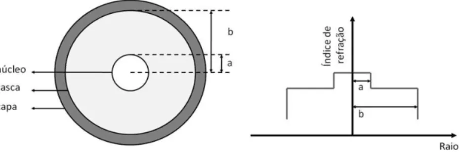 Figura 6 - Secção transversal de uma fibra óptica com perfil de índice degrau. 