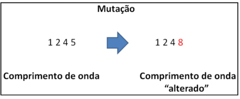 Figura 12 – Processo de mutação. 