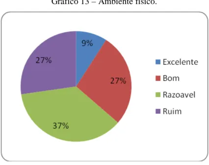 Gráfico 13 – Ambiente físico. 