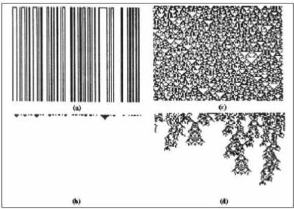 Figura 2.8: Classes dinˆamicas dos ACs [Wolfram, 1984b]. (a) classe 2, (b) classe 1, (c) classe 3 e (d) classe 4.