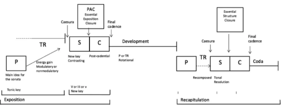 Fig. 1: Schematic presentation of generic layout of the sonata form, adapted from Hepokoski; Darcy  (2006: 17)