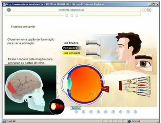 Figura 5: Sistema sensorial demonstrado por recursos multimídia 3 Fonte: Disponível em: &lt;www.educacional .com.br&gt; – Acesso 8.out.2005