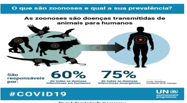Figura 1: Caracterização das zoonoses  Fonte: Relatório Fronteiras-PNUMA (2016). 