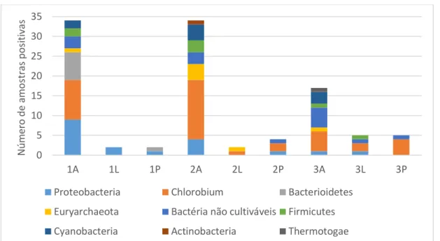 Figura 5: Análise da comunidade microbiológica para os três materiais anódicos da CEM (resultados da clonagem  Shotgun + DGGE) - 1A (EFC – material anódico); 1L (EFC – líquido); 1P (EFC – líquido puro após filtragem); 2A (DC1 – 