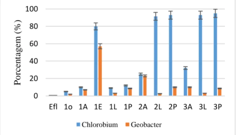 Figura 6: Proporção de Chlorobium e Geobacter em termos da diversidade microbiológica total para todas as  câmaras através dos resultados de q-PCR - Efl (efluente); 1º (após o 1º ciclo); 1A (EFC – material anódico); 1E (EFC – 