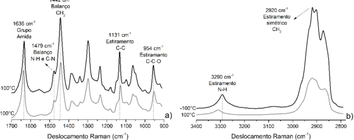 Figura 2: Espectro Raman do nylon 6/6, coletado nas temperaturas de -100°C e 100°C, com destaque para algumas  bandas