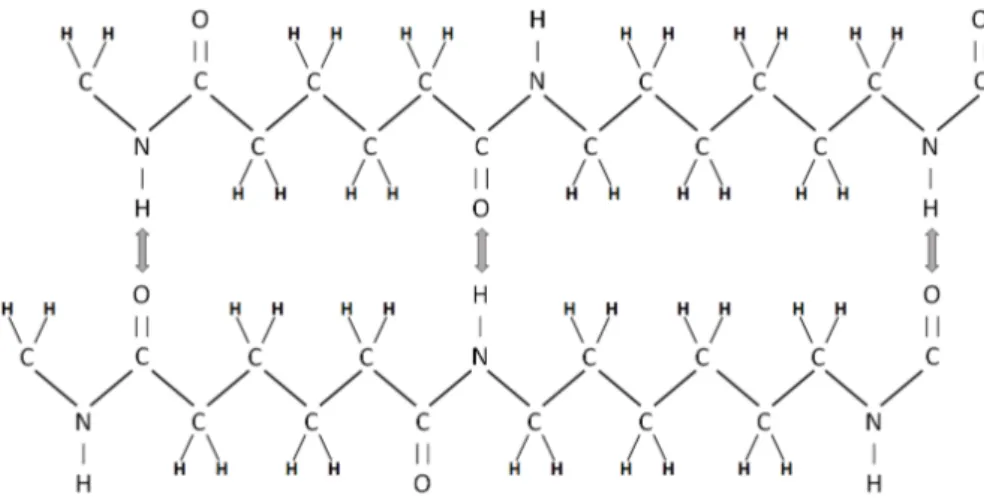 Figura 3:Estrutura planar em zigzag do nylon 6/6, mostrando as ligações de hidrogênio entre duas cadeias vizinhas.