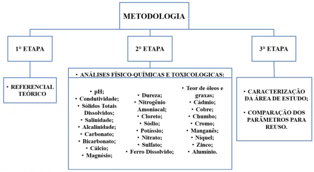 Figura 1: Descrição das etapas metodológicas. 