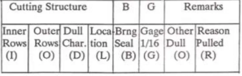 Figure 4 - The IADC Roller Bit Dull Grading System. 