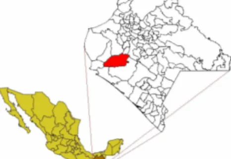 Figura 1. Mapa de ubicación del estado de Chiapas y el municipio de Villaflores  Fuente: Chiapas Gobierno del Estado (2019)