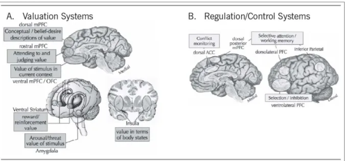 Figura  4.  Principais  estruturas  corticais  e  subcorticais  envolvidas  no  processo  de  regulação  emocional (extraído de OCHSNER e GROSS, 2014)