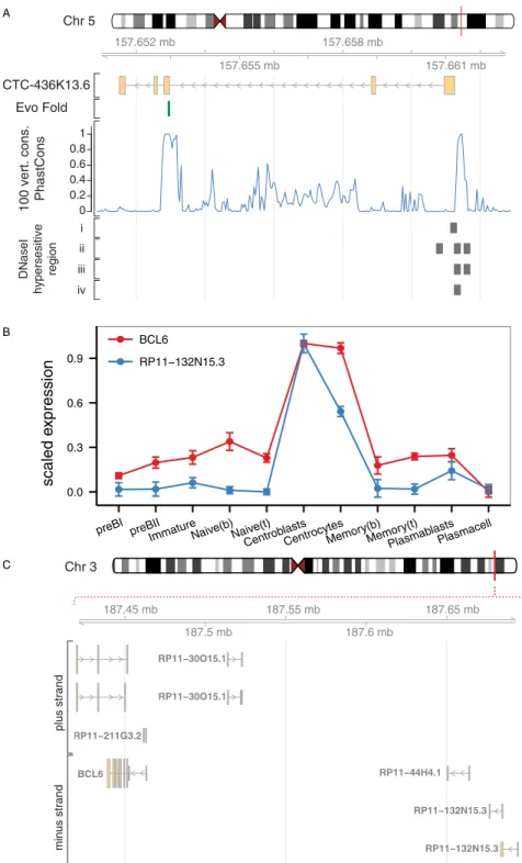 Fig 7. Highly connected lincRNAs in the brown and yellow modules. A) Genome browser plot for the highly connected lincRNA CTC-436k13.6 in the brown module