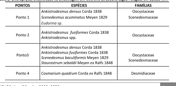 Tabela 2: Chlorophytas encontradas na amostragem em fevereiro de 2011na Lagoa Paiaguás em Cuiabá-MT