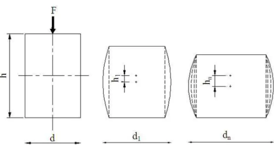 Fig. 2. Deformation pattern of cylindrical rubber block under normal compressive force 