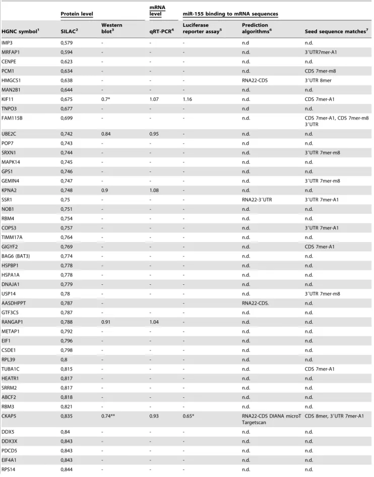 Table 1. Potential downregulated miR-155 target proteins in HEK293T cells detected by SILAC with supportive data (Western blot analysis, qRT-PCR, miRNA binding).