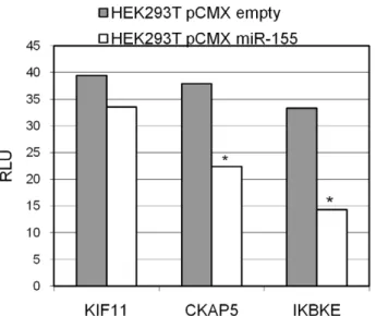 Table 3. Potential upregulated miR-155 target proteins in HEK293T cells detected by SILAC with prediction algorithms and seed sequence matches.