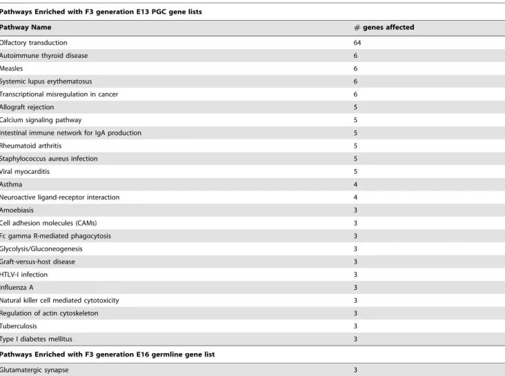 Table 1. Pathways enriched with F3 generation E13 and E16 germ cell gene lists.