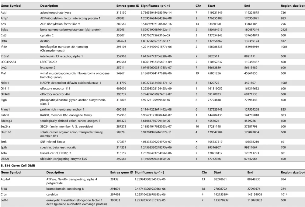 Table 2. DMR from (A) E13 PGC and (B) E16 germ cells.