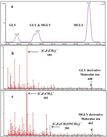 Fig. 4. GC-MS chromatogram (a) of PFBHA derivatives of GLY and MGLY and their EI mass spectra (b for GLY at 26.38 min and c for MGLY at 27.02 min)