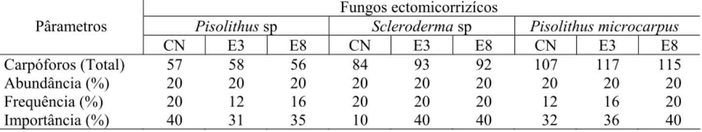 TABELA 3:  Número total de carpóforos de fungos ectomicorrízicos, abundância, freqüência e importância   relativa encontrados nas áreas de campo nativo (CN), cultivo de eucalipto 3 anos (E3), cultivo  de eucalipto 8 anos (E8),  São Francisco de Assis, RS