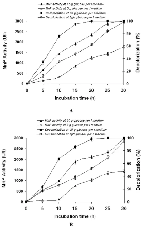 Figure 3 Comparison  of  decolorization  and  MnP  activities  by  fungi  under  different  concentrations  of  glucose:  Pleurotus  sp