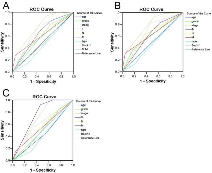 Figure 4. Receive operating characteristic curve analysis for several clinicopathological features and Beclin 1 expression was used to evaluate the survival status