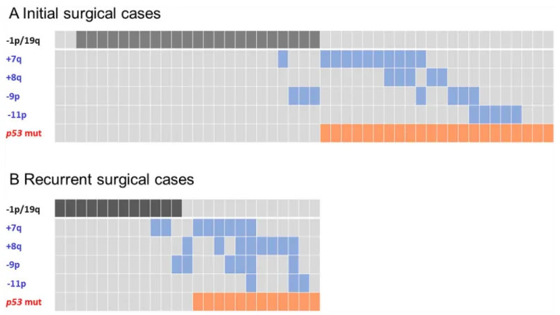 Fig 3. The correlation between TP53 mutations and the CNAs − 1p/19q, +7q, +8q, − 9p, and − 11p in IDH mutant gliomas