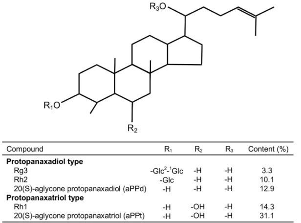 Fig. 1. Chemical structure of dammarane steroids from Panax ginseng.