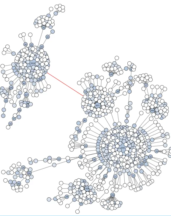 Figure 2 Graphical representation of an OTU produced by Swarm (breaking and grafting phases deactivated) when clustering the BioMarKs 18S rRNA V9 dataset (amplicons are appr