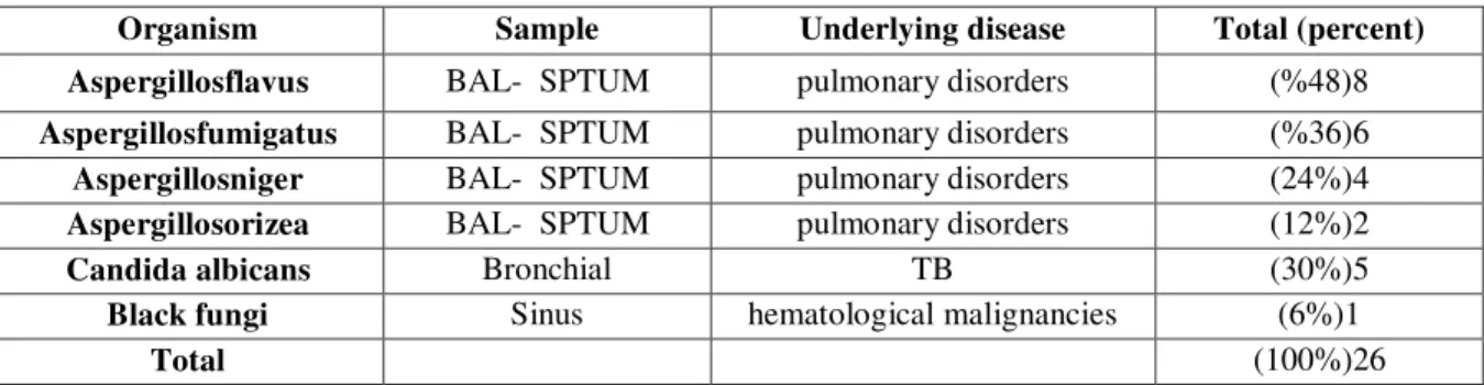 Table 1: organisms isolated from the respiratory tract 