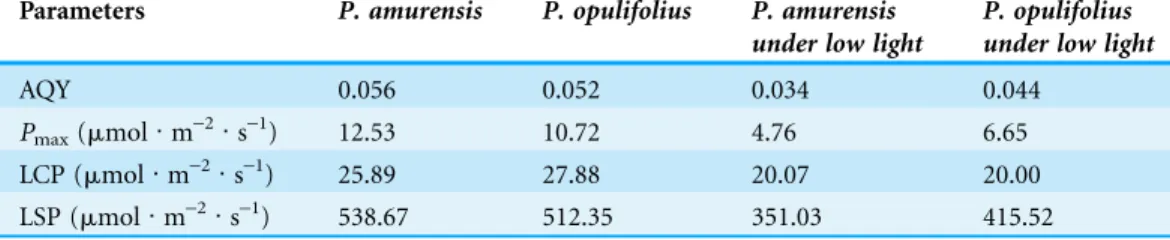 Table 1 Photosynthesis parameters in leaves of P. amurensis Maxim and P. opulifolius “Diabolo”