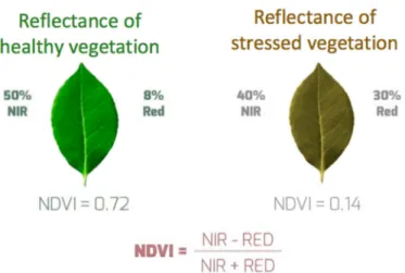 Figure 1. Example of the use of a normalized difference vegetation index (NDVI).