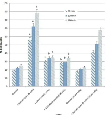 Figure  1.  Cell  cytotoxicity  induction  with  sumatriptan  (5  mM)  after  3  days  incubation  by  phenobarbital  and  the  effect  of  enzyme inhibition by 4- MP (500 µM) and cimetidine (2 mM)  Data  are  shown  as  mean±S.E