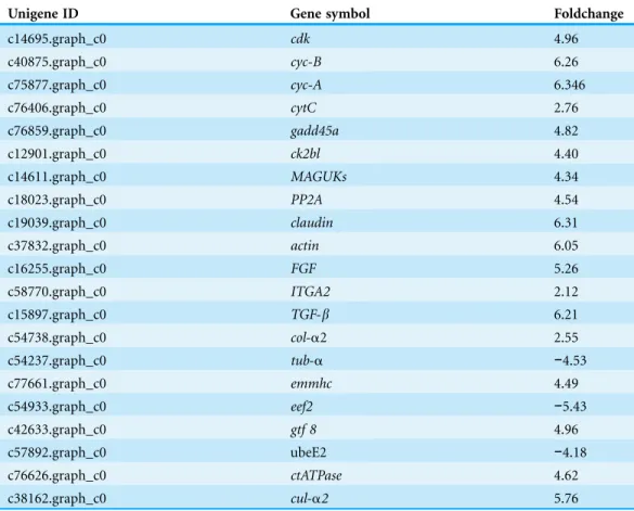 Table 3 Differentially expressed genes between the papilla and skin that are involved in development.