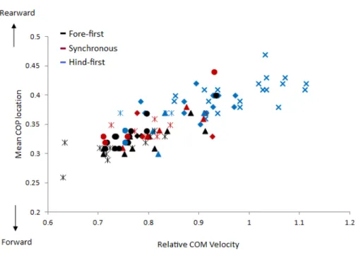 Figure 5 Comparison of relative COM velocity to COP location for speed range data ( n = 5 horses