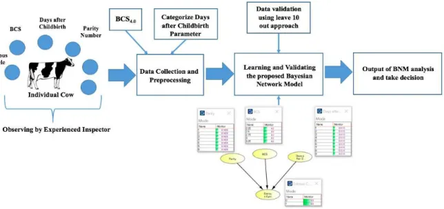 Fig. 4. The overall investigation methods using BNM  B. Results and Discussions 