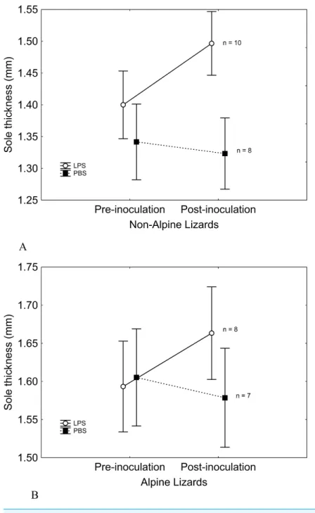 Figure 2 Sole-pad thickness was similar in both LPS and PBS-inoculated lizards. Four hours after the inoculation, sole-pad thickness of PBS-inoculated lizards did not change significantly, while an  inflamma-tion occurred in LPS-inoculated lizards, pointin