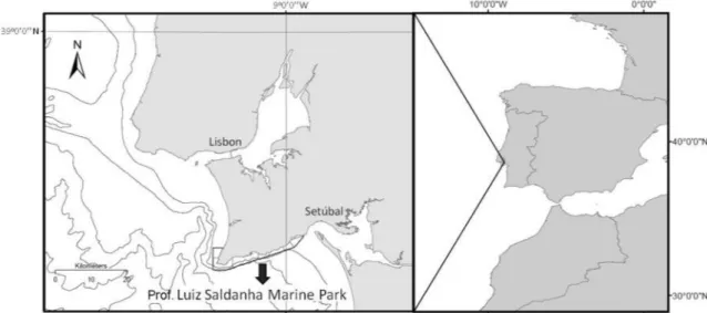Figure 1. Location of the Prof. Luiz Saldanha Marine Park (PLSMP) on the west coast of Portugal
