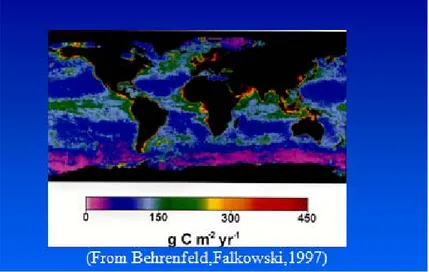 Fig. 33.  Ocean chlorophyll concentration off  the coast of Sagres .. source: Adapted from NASA 