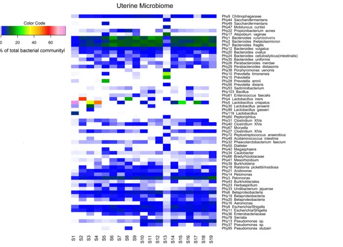 Figure 1 Endometrial bacterial community structure in subjects included ( n = 19). Endometrial bacterial community structure in each subject, showing those 60 phylotypes which exhibited an abundance of at least 1% in at least one of the samples