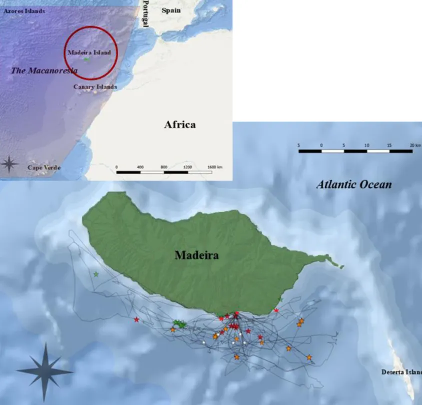 Fig  2.1 Map  of  the  Macaronesia  region  and  the  study  site,  Madeira  circled  in  red  (top  map)