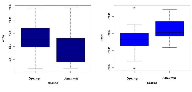 Fig 3.2 Nitrogen (left side) and carbon (right side) stable isotope ratios ( δ 15 N  and  δ 13 C ) of bottlenose dolphins  in Madeira Archipelago during spring and autumn seasons