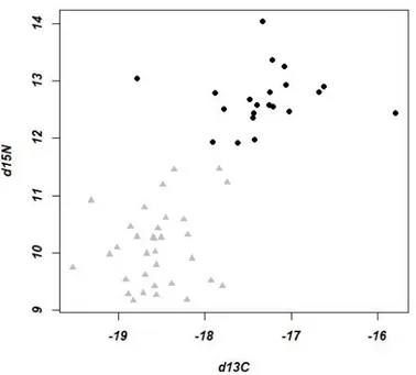 Fig 3.4 Nitrogen and carbon stable isotope values ( δ 15 N  and  δ 13 C ) of short-finned pilot whales (black  dots) and bottlenose dolphins (grey triangle) biopsied in Madeira archipelago 