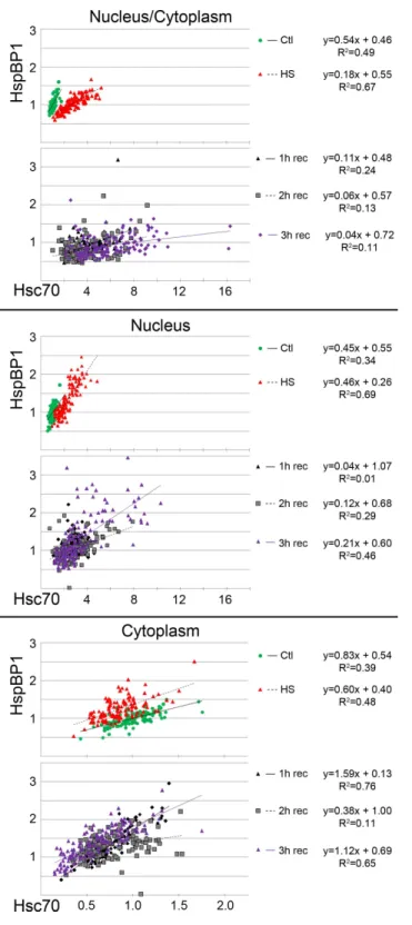 Figure 4 Regression analysis examines the interplay between hsc70 and HspBP1 at the single cell level