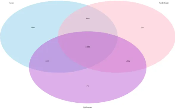Figure 1 Venn Diagram of transcript expression differences and similarities between the three repro- repro-ductive tissues for a single male mouse