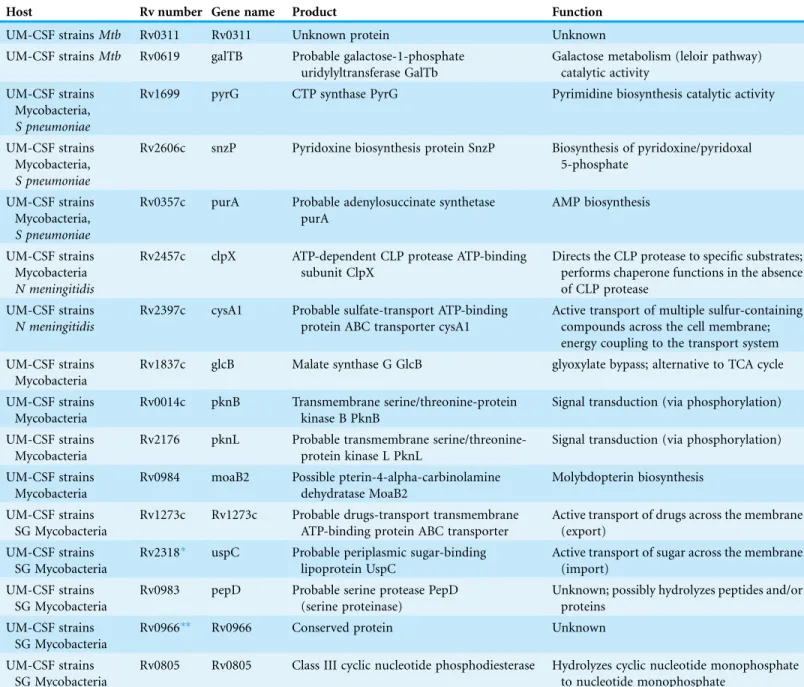 Table 2 Genes shared by UM-CSF strains, other mycobacteria associated with neuropathology, S